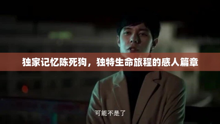 獨家記憶陳死狗，獨特生命旅程的感人篇章