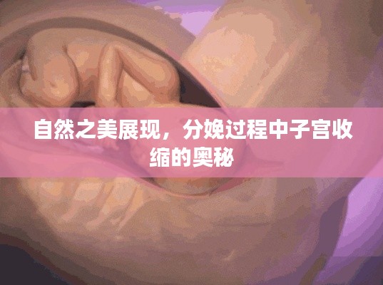 自然之美展現(xiàn)，分娩過程中子宮收縮的奧秘