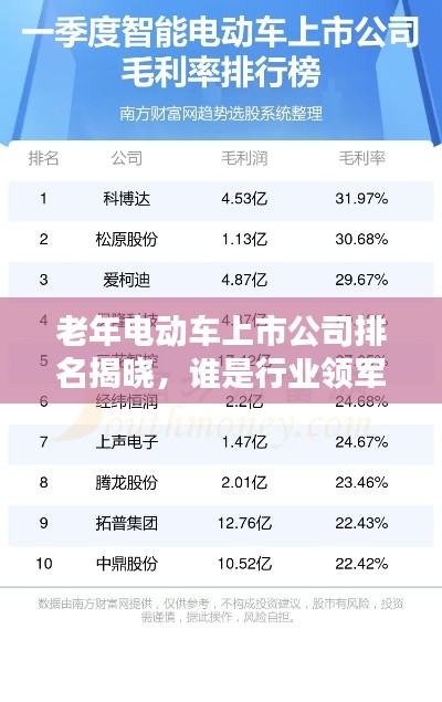 老年電動車上市公司排名揭曉，誰是行業(yè)領軍者？