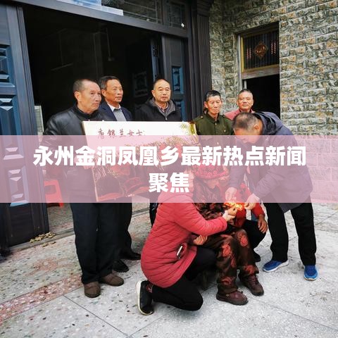 永州金洞鳳凰鄉(xiāng)最新熱點(diǎn)新聞聚焦