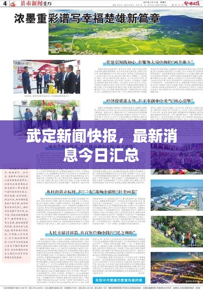 武定新聞快報，最新消息今日匯總