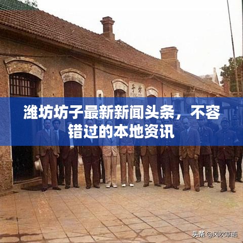 濰坊坊子最新新聞?lì)^條，不容錯(cuò)過(guò)的本地資訊