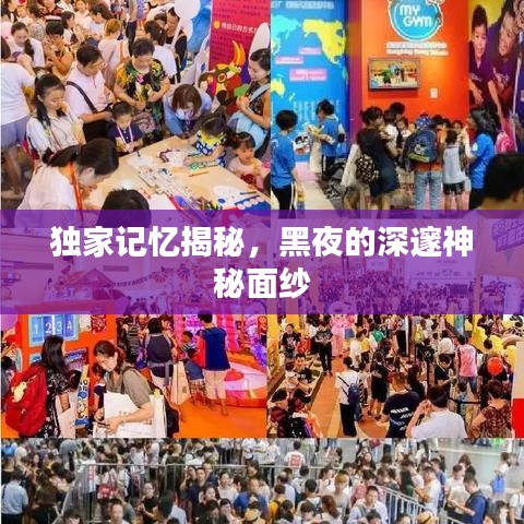 獨(dú)家記憶揭秘，黑夜的深邃神秘面紗