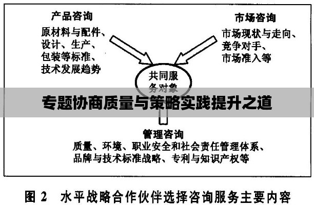 專題協(xié)商質(zhì)量與策略實(shí)踐提升之道