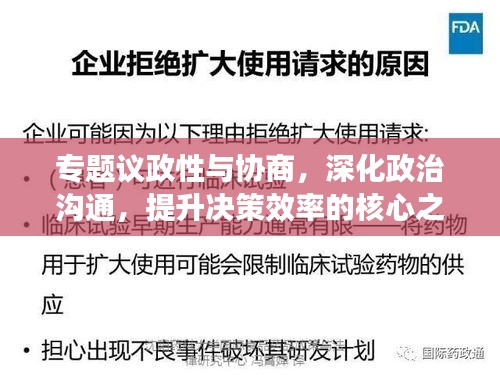專題議政性與協(xié)商，深化政治溝通，提升決策效率的核心之道