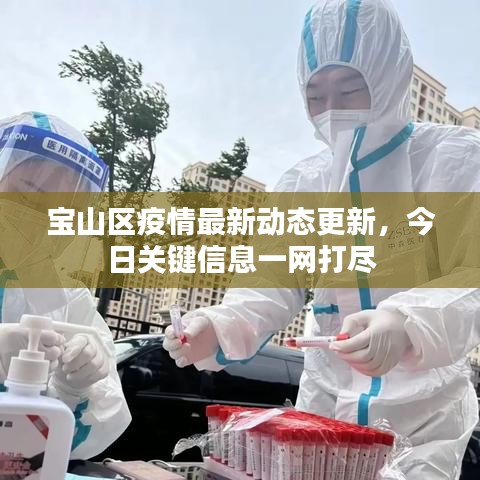 寶山區(qū)疫情最新動態(tài)更新，今日關(guān)鍵信息一網(wǎng)打盡